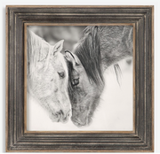 Custom Black and White Horses Framed Print