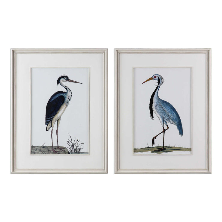 Shore Birds Framed Prints, S/2